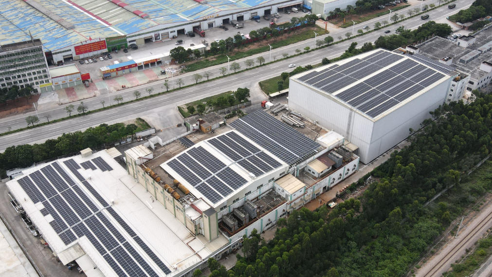 湛江市盛海水产有限公司分布式光伏项目